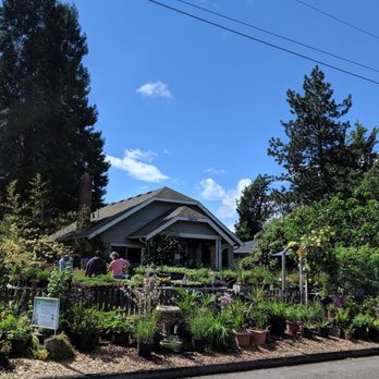 Pierce Street Gardens - Front - Nurseries & Gardening Near Me - Eugene, Oregon Pierce Street Gardens - Front - Nurseries & Gardening Near Me - Eugene, Oregon