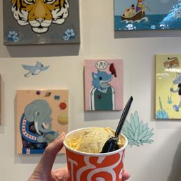 Single Scoop Ice Cream