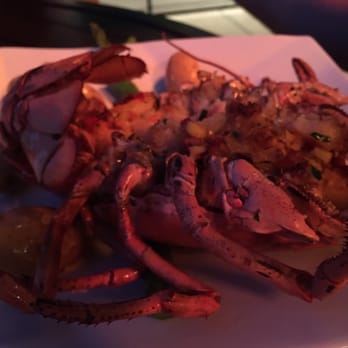 Ocean Terrace - Lobster special.  Very good. - Seafood Near Me - Brewster, Massachusetts