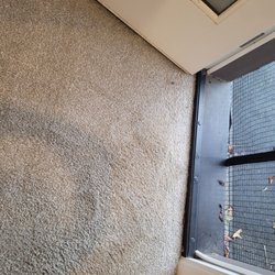 My Steam Green carpet cleaning - Walk way were they charged us extra for deep cleaning