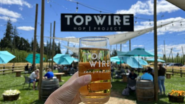 TopWire Hop Project by null