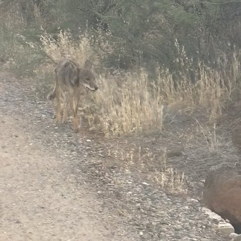 Lantern Light Inn - Coyote - Hotels Near Me - Sedona, Arizona