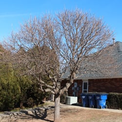 Larson's Lawn & Landscape