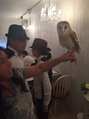 Owl Cafe Tokyo by null