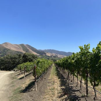 Pence Vineyards & Winery - View from vineyard tour - Wineries Near Me - Buellton, California