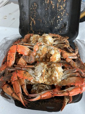 Seven Seas Crab House by null