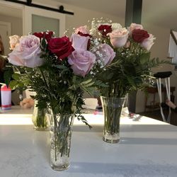 Gorgeous Valentine's Day roses that were sent to me (and my mom who was staying with me) from Primak!