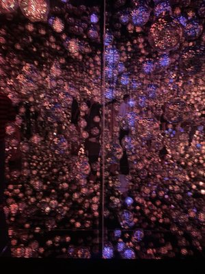 teamLab Borderless: MORI Building DIGITAL ART MUSEUM by null