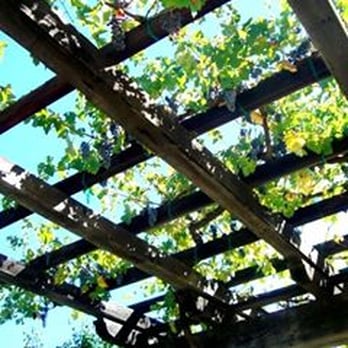 Inglenook - Wineries Near Me - Rutherford, California