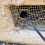 Photo of Cat’s Rodent Control