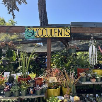 Dig Gardens - Aptos - Nurseries & Gardening Near Me - Aptos, California