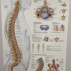 Edison valle- Naples Neuro Care - Refer to photo