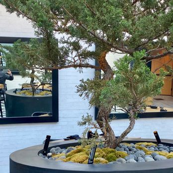Taisho - Take Your Own photos of food when you are tasting it! - Sushi Bars Near Me - Sherman Oaks, California