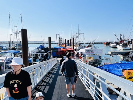 Steveston by null