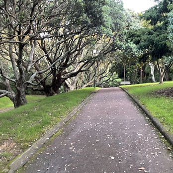 The Auckland Domain - Parks Near Me - Auckland, AUK The Auckland Domain - Parks Near Me - Auckland, AUK