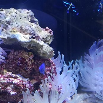 Pet World - Pet Stores Near Me - San Bernardino, California Pet World - Pet Stores Near Me - San Bernardino, California