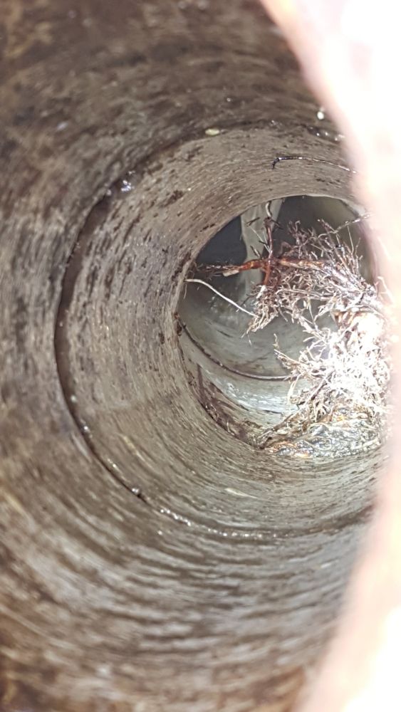 Slide of Discount Drain Cleaning