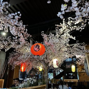 Yuka Sushi Bar - Sushi Bars Near Me - Sandy Springs, Georgia