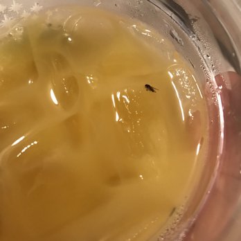 McDonald's - a person holding a cup of soup - Fast Food Near Me - Orlando, Florida McDonald's - a person holding a cup of soup - Fast Food Near Me - Orlando, Florida