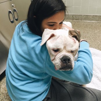 UC Davis Veterinary Teaching Hospital - I miss you everyday babygirl. :( - Veterinarians Near Me - Davis, California UC Davis Veterinary Teaching Hospital - I miss you everyday babygirl. :( - Veterinarians Near Me - Davis, California
