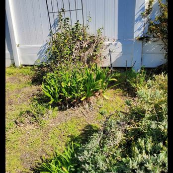 Glenn's Lawn Care - Before - Landscaping Near Me - Lancaster, California Glenn's Lawn Care - Before - Landscaping Near Me - Lancaster, California