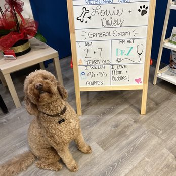 Sunshine Veterinary Care - Veterinarians Near Me - Diamond Bar, California Sunshine Veterinary Care - Veterinarians Near Me - Diamond Bar, California