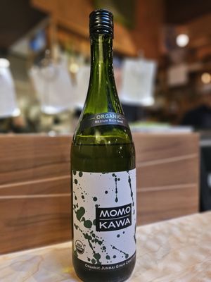 Mashiko Japanese Restaurant by null