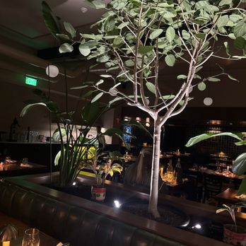 Enzo Restaurant + Pizzeria - Italian Near Me - Morristown, New Jersey