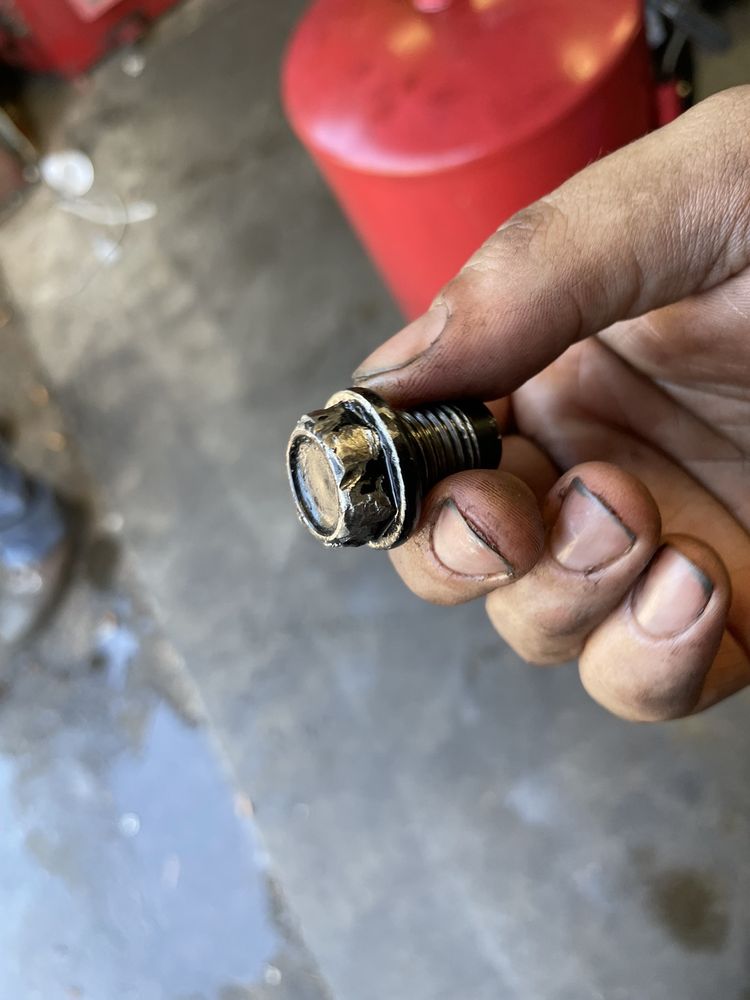 TOP SHELF AUTOMOTIVE Updated October 2024 16 Photos & 10 Reviews