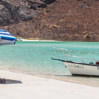 Coras - Ensenada grande beach @espiritusantoisland - Snorkeling Near Me - La Paz, BCS Coras - Ensenada grande beach @espiritusantoisland - Snorkeling Near Me - La Paz, BCS