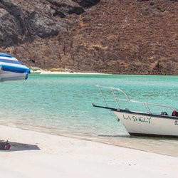 Coras - Ensenada grande beach @espiritusantoisland
