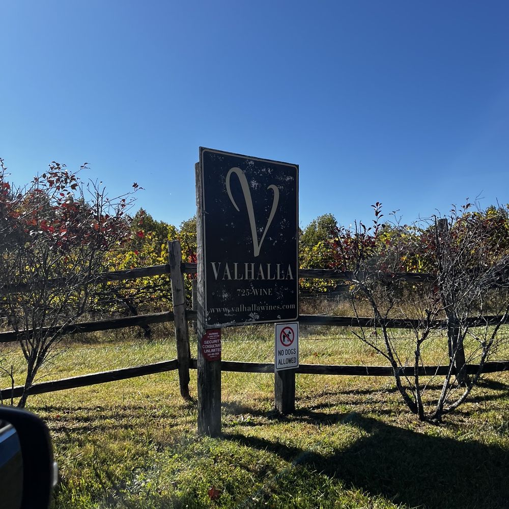 Vineyard. Vineyard.