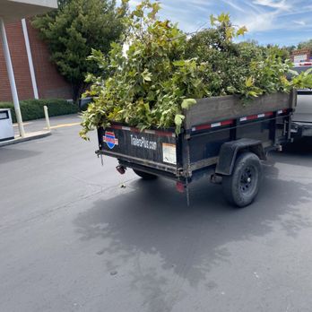 ARK Yard Maintenance - Landscaping Near Me ARK Yard Maintenance - Landscaping Near Me