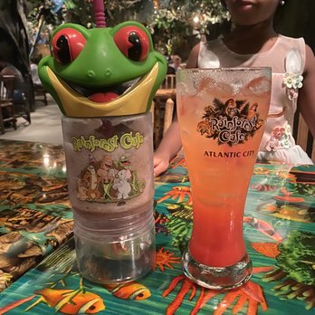 Rainforest Cafe - Souvenir Glasses - American Near Me - Atlantic City, New Jersey Rainforest Cafe - Souvenir Glasses - American Near Me - Atlantic City, New Jersey