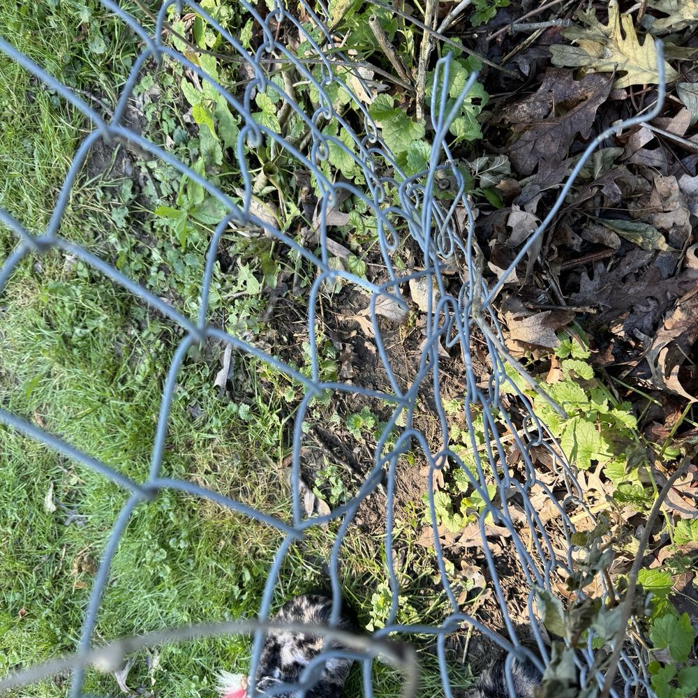 Wires sticking out from shotty "repair" Wires sticking out from shotty "repair"