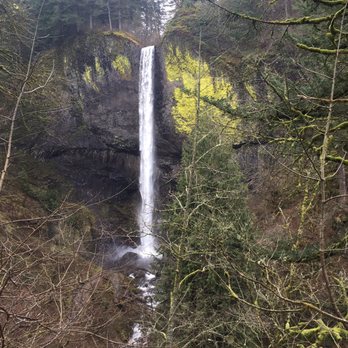 Latourell Falls - Hiking Near Me - Portland, Oregon