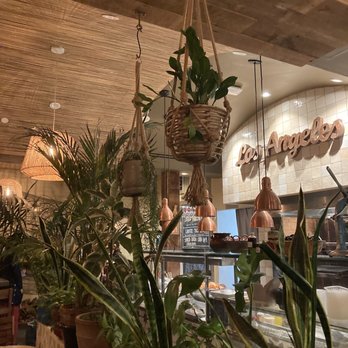 Jonah's Kitchen + Bar - Vibey - Latin American Near Me - Santa Monica, California Jonah's Kitchen + Bar - Vibey - Latin American Near Me - Santa Monica, California