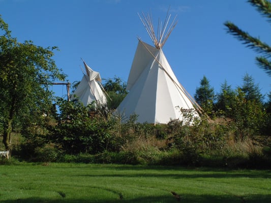 Larkhill Tipis and Yurts by null