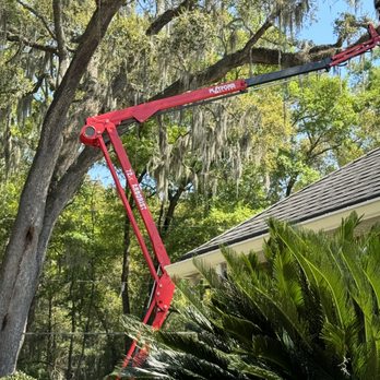 Sanford Tree Service - Tree Services Near Me - Jacksonville, Florida Sanford Tree Service - Tree Services Near Me - Jacksonville, Florida