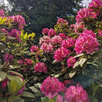 Laurelhurst Park - Parks Near Me - Portland, Oregon Laurelhurst Park - Parks Near Me - Portland, Oregon