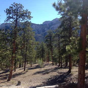 McWilliams Campground - Hiking Near Me - Las Vegas, Nevada McWilliams Campground - Hiking Near Me - Las Vegas, Nevada