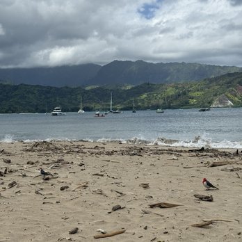 Hapuna Beach State Recreation Area - Beaches Near Me - Waimea, Hawaii