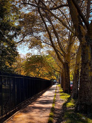 McCarren Park by null