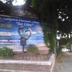 Instituto Ser Libre