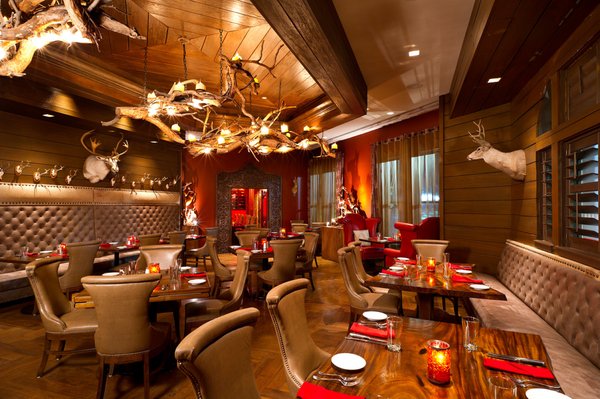 Grand Bohemian Lodge Asheville, Autograph Collection by null