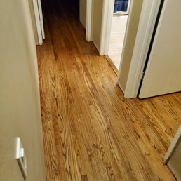 Hallway restored pet damage