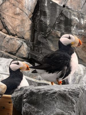 Alaska SeaLife Center by null