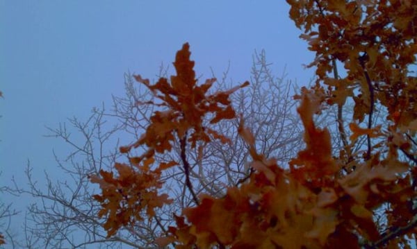 Sandia Peak Tramway by null