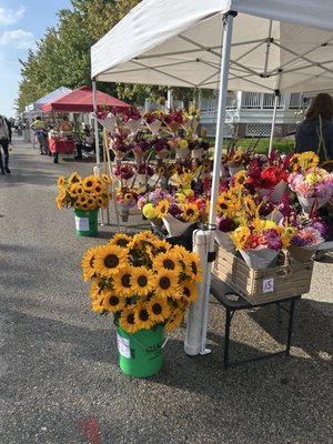 Kenosha HarborMarket by null