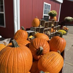 Burnham Orchards